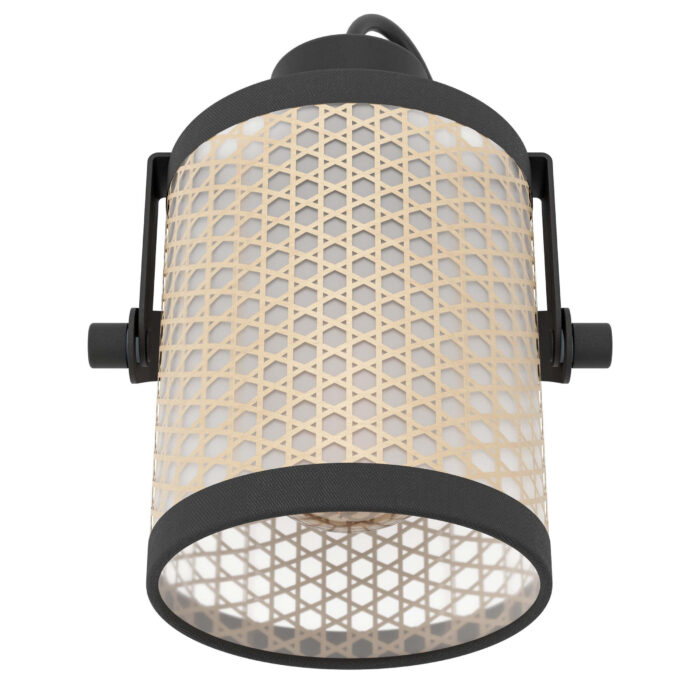 Spot RUSCOMB 43493 Eglo - Slika 2