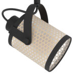 Spot RUSCOMB 43494 Eglo - Slika 2