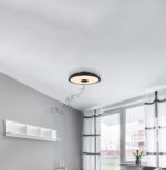 Plafonjera RAFFY 41366B RGB SA ZVUČNIKOM - Slika 5