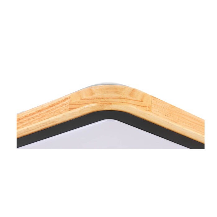 Plafonjera LIAM 746404 - Slika 2